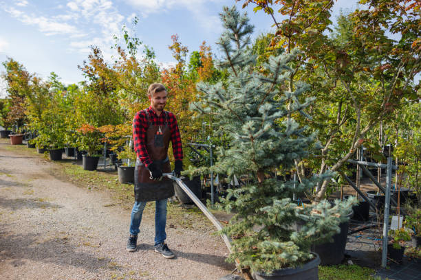  Gallipolis, OH Tree Removal and Landscaping Services Pros